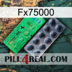 Fx75000 new04